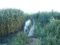 В Липецкой области расчищают малые реки