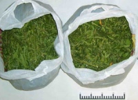 У жителя Липецка нашли 4 кг марихуаны 