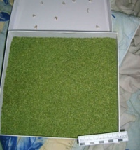 У жителя Липецка нашли полтора килограмма «травы»