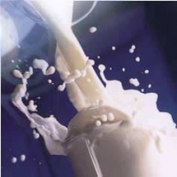 Забраковано более 3 тонн молока