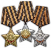 Краеведческий музей в Липецке получил три ордена Славы