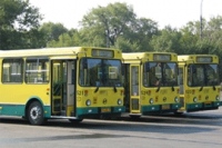 В Липецке начнется операция «Автобус»