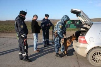 Липецкие милиционеры задержали в Чечне... китайцев-нелегалов 
