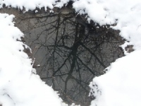 Река Воронеж в Липецке освобождается ото льда 