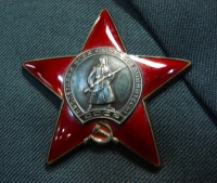 В Липецкой области у пенсионерки украли боевые награды 