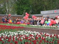 Ко Дню Победы в Липецке расцветут 80 тысяч тюльпанов	