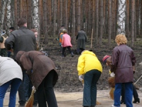 В День Земли в парках Липецка пройдут массовые субботники 