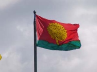 В нынешнем году созданы еще 34 приемные семьи 