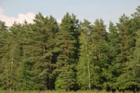 На обследование заповедных территорий в Липецкой области выделяют более 2 млн. рублей