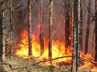 В администрации Липецка обсудили меры по предупреждению пожаров 