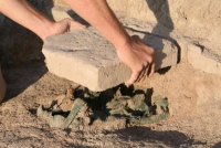 Молодежная археологическая экспедиция завершает раскопки в Добровском районе