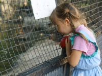 Липецкий зоопарк отмечает 38-й день рождения