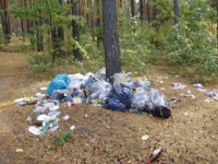 Загрязнители природы заплатили в 2011 году более 6,5 миллионов рублей штрафов
