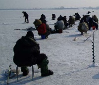 В Липецкой области пытаются спасти рыбу