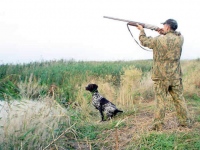 В Липецкой области охотники расчехлят ружья