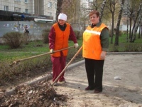 В понедельник сотрудники липецкого «Зеленхоза» начнут оформлять первые городские цветники 