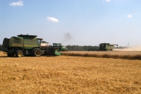 В Липецкой области собрали уже миллион тонн зерна