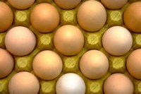 Куриные яйца в Липецке станут дешевле