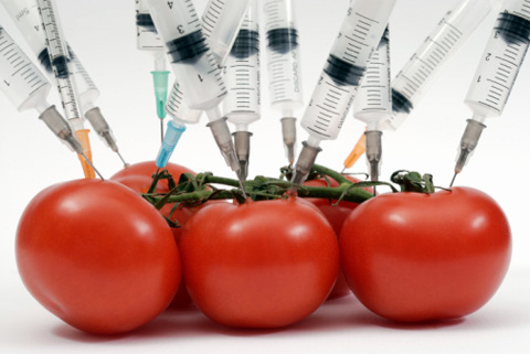 «Черкизово» использует при производстве продукции корма с ГМО