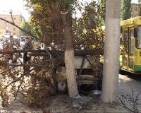 Автомобиль «срубил» дерево в центре Липецка