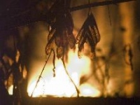 Сгорел 45-летний житель Лебедяни