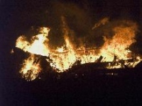 В Липецкой области в пожарах погибли двое малышей