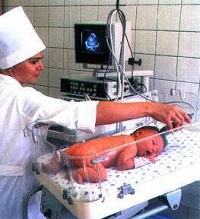 Липецкая область вымирает Липецкая область вымирает