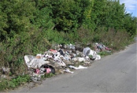 Краснинский район завален мусором
