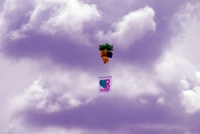 24 июня в Липецке в небо полетят голуби, шары, гирлянды и герб