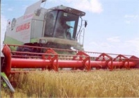 В Липецкой области уже намолочено больше 700 тысяч тонн зерна