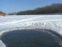 Рыбе в реке Воронеж кислородное голодание не грозит