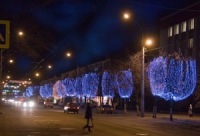 В Липецке появятся мобильные деревья