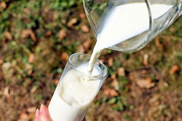 Банкротство липецкого производителя молока «ГринВилль» завершилось