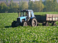 О фермерстве в Липецкой области