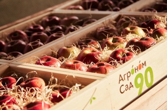 Крупнейший липецкий производитель яблок завалит продукцией столичную сеть супермаркетов
