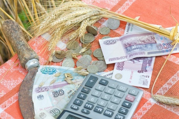 Российское правительство обделило липецких аграриев рублем