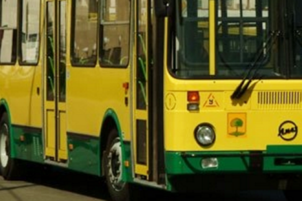Забастовка частных перевозчиков парализовала автобусное сообщение в Липецкой области