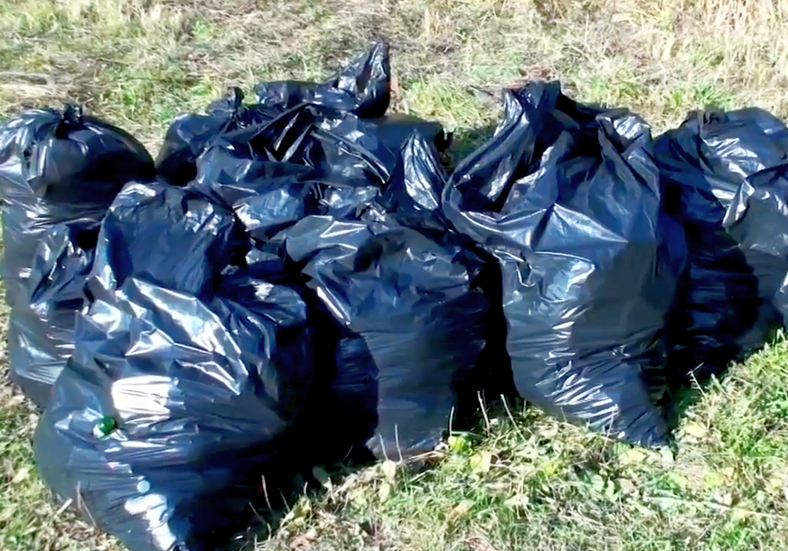 В липецком парке собрали более 100 мешков мусора 