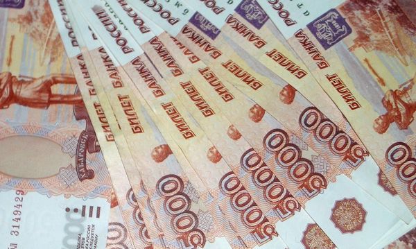 Генеральный директор липецкого производителя упаковки недоплатила НДС на 19 млн рублей
