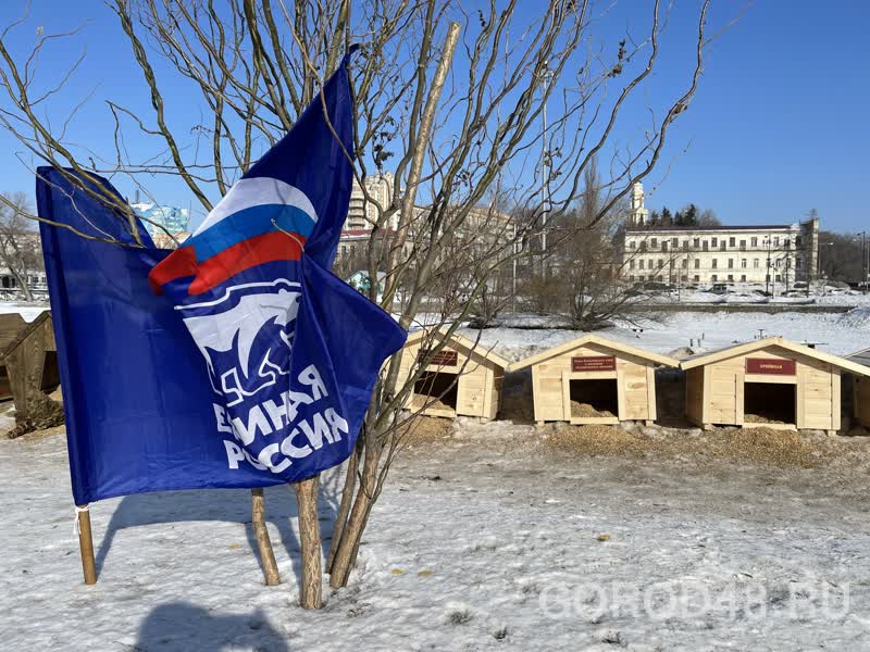 На пруду в центре Липецка неизвестные превратили зимние домики для уток в офис Единой России