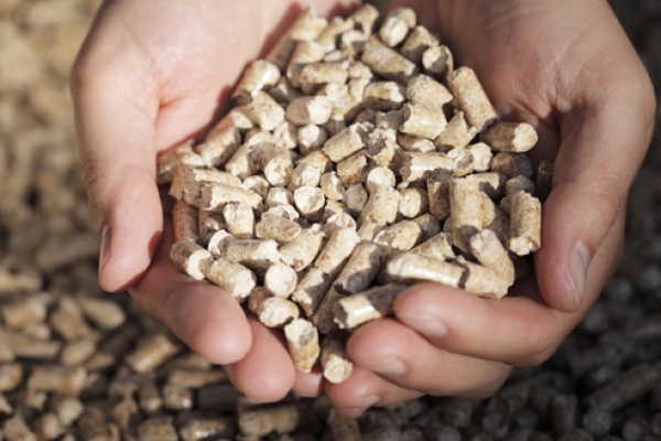 Липецкий завод по производству древесных гранул намерен в разы увеличить свои мощности