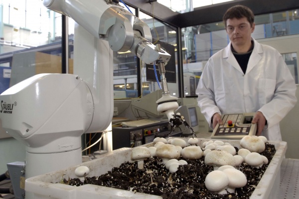 Столичный «Агропром-МДТ» отложит строительство грибного комплекса в Липецкой области за 2,5 млрд рублей