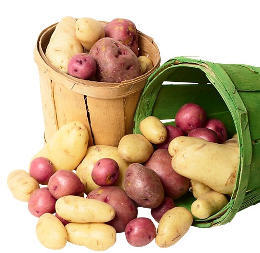 В Липецкий картофель инвестируют 8,8 млрд. рублей до 2020 года