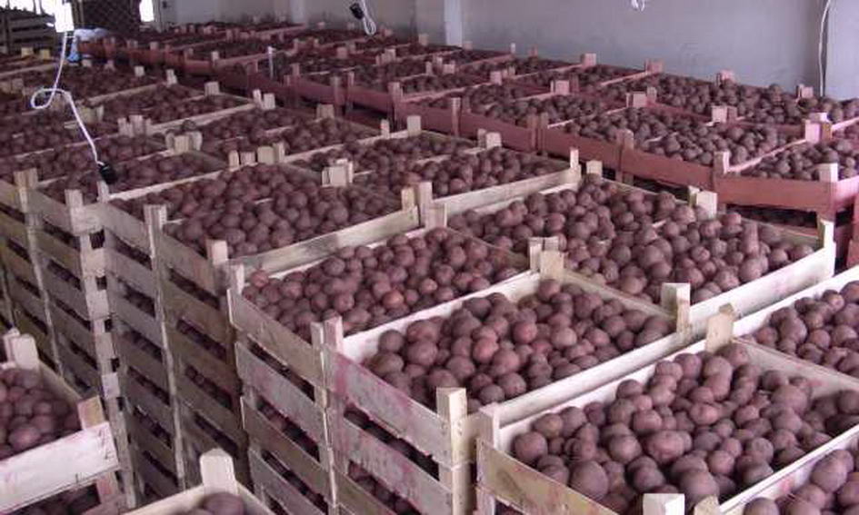 Black Earth Farming переоценила ущерб от пожара на складе картофеля в Липецкой области с 7 до 2,5 млн долларов