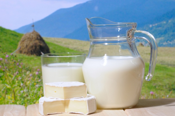 В Липецкой области запустят самый крупный молочный завод в регионе в начале 2017 года