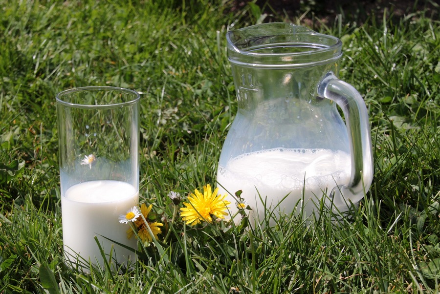 В Липецкой области запустили новое молочное производство за 22 млн рублей