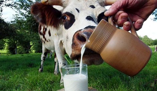 Липецкая область едва не стала аутсайдером по размеру субсидий на развитие молочного животноводства в Черноземье