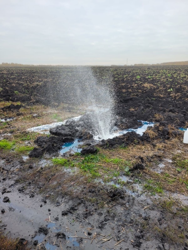 Дочерняя компания «Транснефти» заплатит штраф за разлив нефти в Липецкой области