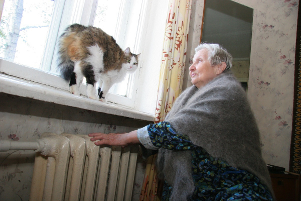 Мёрзнувшие четыре года в квартирах старики и инвалиды обратились за помощью в организацию Владимира Путина