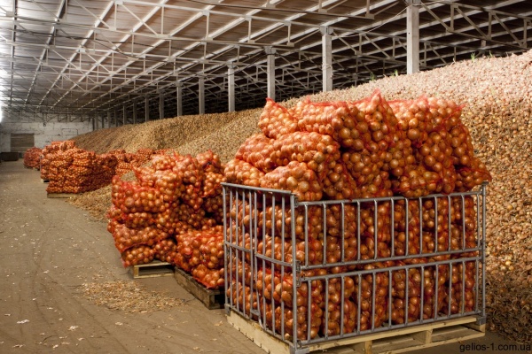 Компания «Агрорегион» продаст недостроенное овощехранилище в Липецкой области за 550 млн рублей